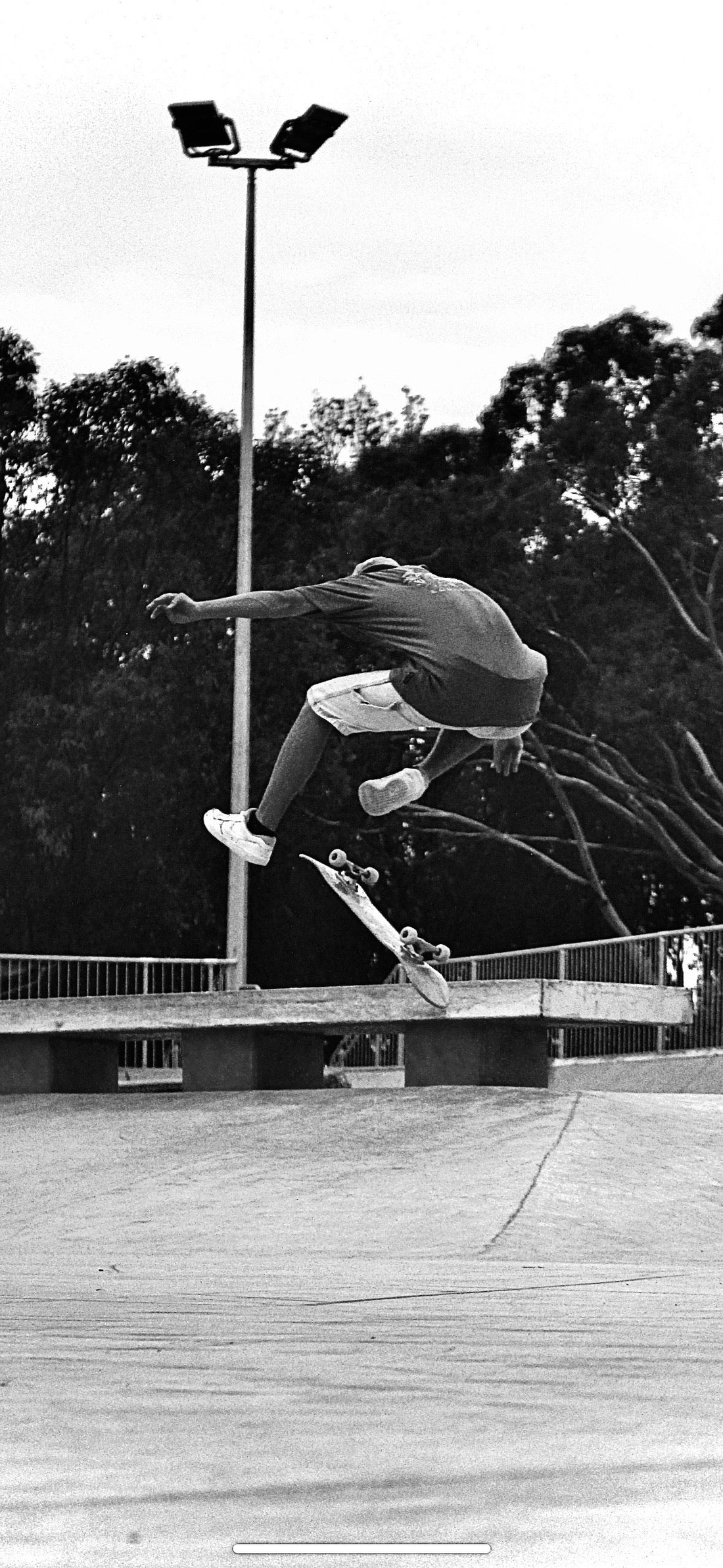 Complete Skateboards